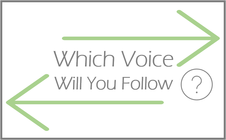 Which Voice Will You Follow?